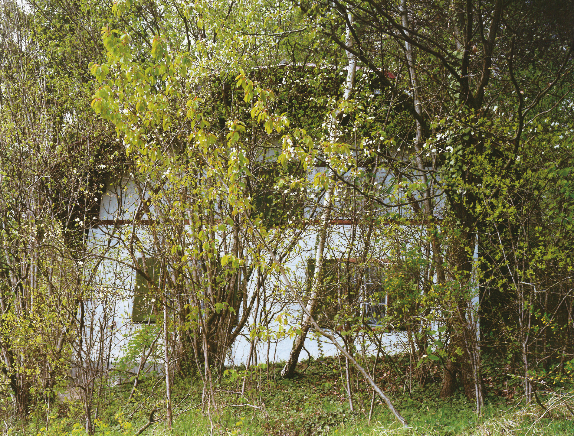 Gampelen_BE-2001