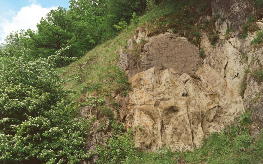 Follatères