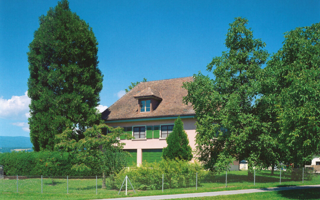 Villa Rose