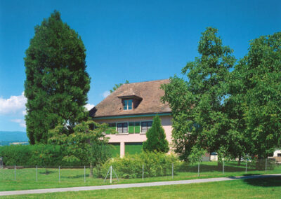 Villa Rose