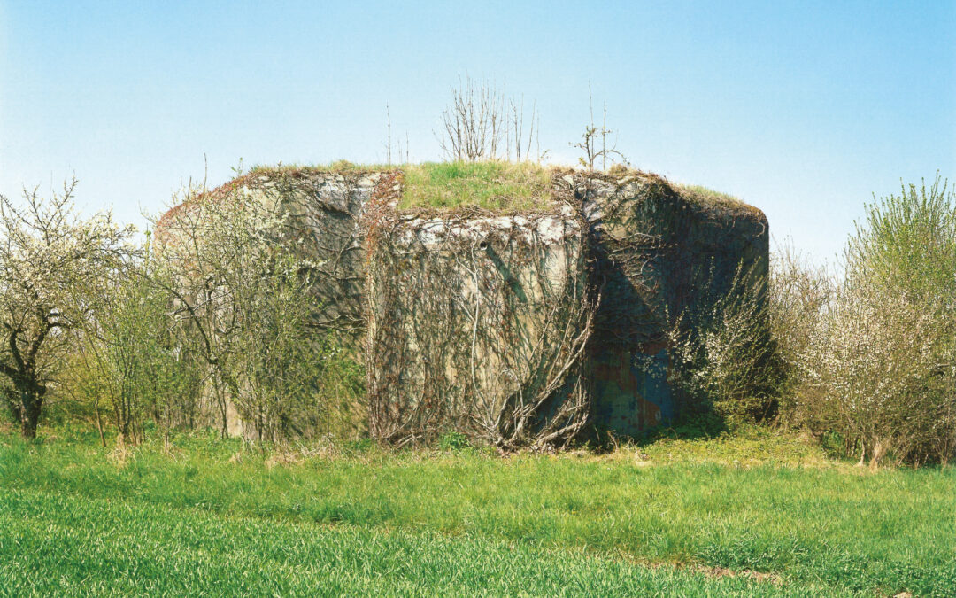 Bottighofen Bahn / Bottighofen