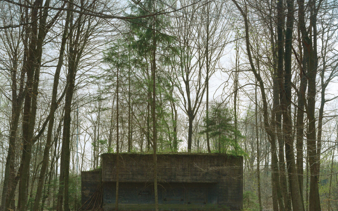 Vanelwald 4